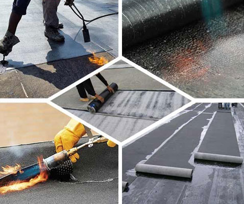 Frequently Asked
                            Questions